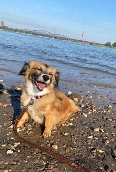 Lexa sucht ihre für immer Familie!