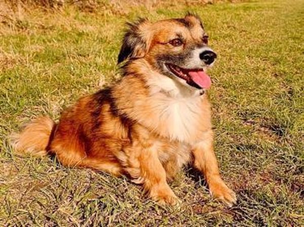 Lexa sucht ihre für immer Familie!