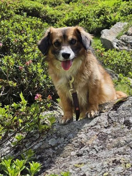 Lexa sucht ihre für immer Familie!