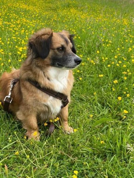 Lexa sucht ihre für immer Familie!