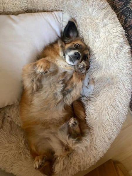 Lexa sucht ihre für immer Familie!