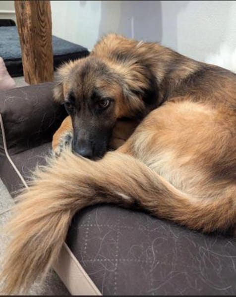 Nunzia braucht Ihre Unterstützung 💚