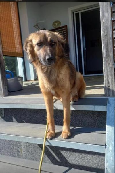 Nunzia braucht Ihre Unterstützung 💚