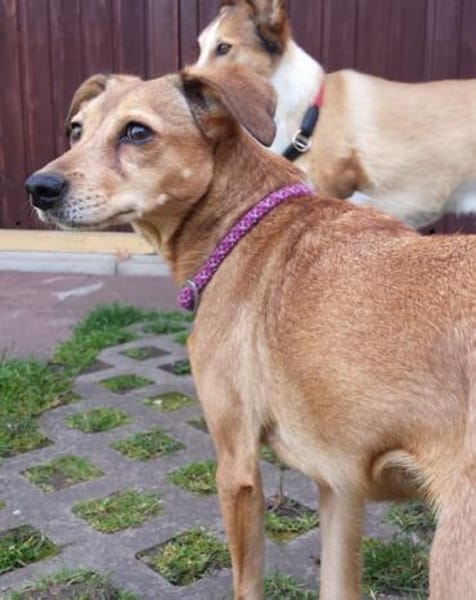 Mathilda ❤ wartet in 90427 Nürnberg