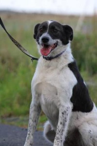 Mirona - sehr kinderlieb u. verspielt