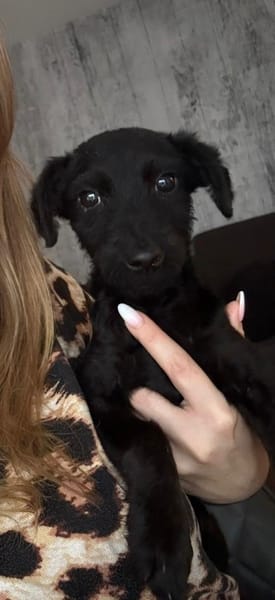 💖Nelly sucht ihr Für-immer-Zuhause 💖