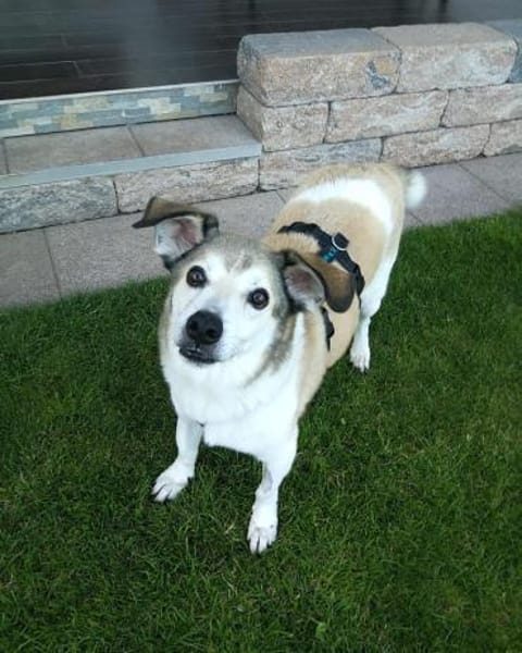 Cecilio,topfitter Senior möchte 1 Family