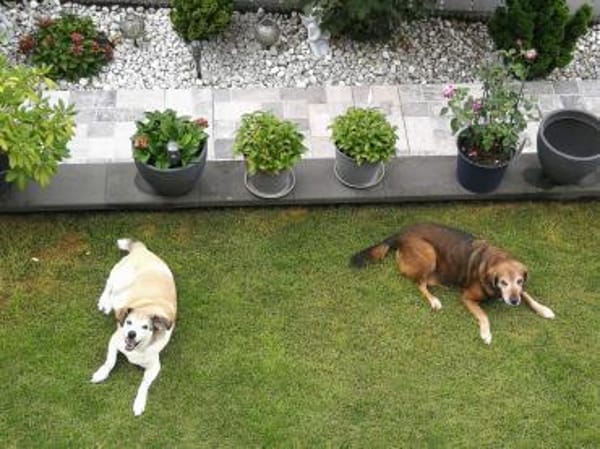 Cecilio,topfitter Senior möchte 1 Family