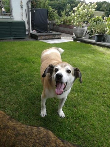 Cecilio,topfitter Senior möchte 1 Family