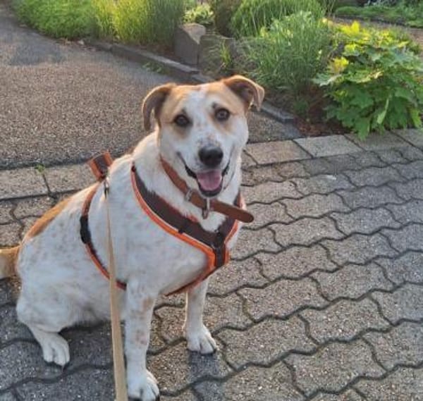 bekommt Kalle noch eine Chance??