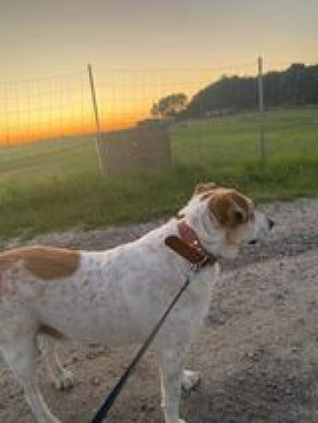 bekommt Kalle noch eine Chance??