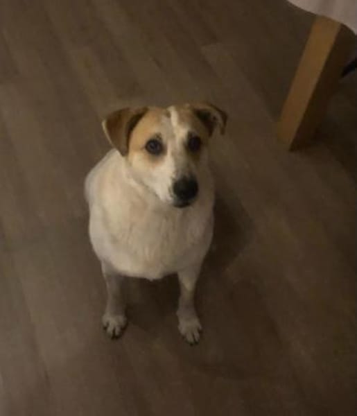 bekommt Kalle noch eine Chance??