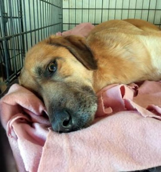 Nicolas R wartet in 91623 Sachsen