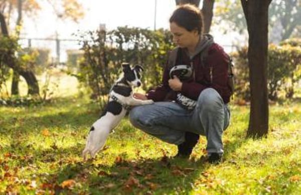 wunderschöner Welpe Milku in BY