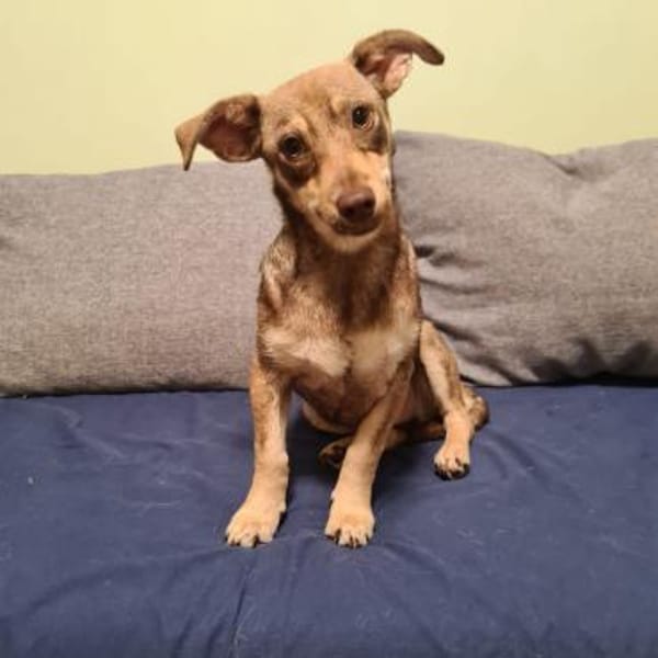 suße Bella & Kara suchen Zuhause