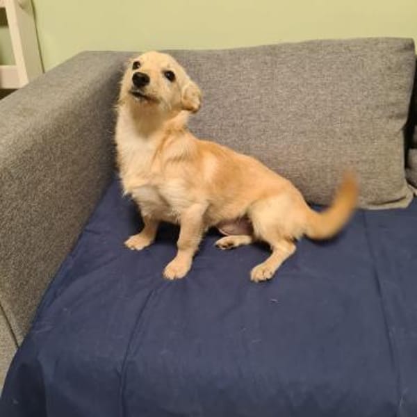 suße Bella & Kara suchen Zuhause