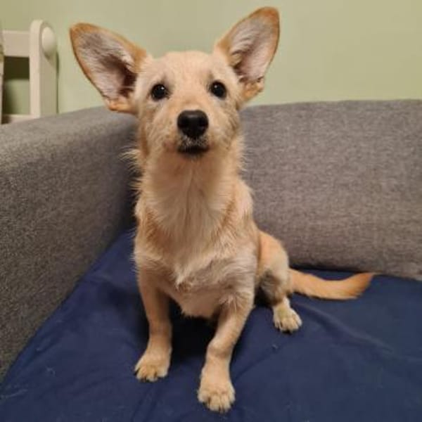 suße Bella & Kara suchen Zuhause