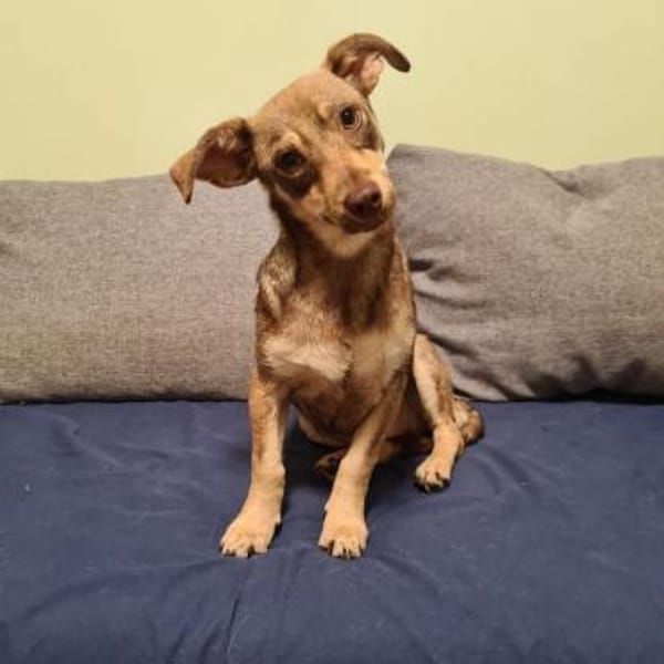 suße Bella & Kara suchen Zuhause