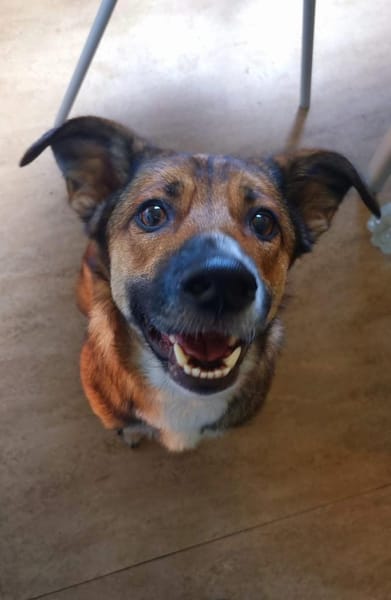 Athos sucht liebe Menschen