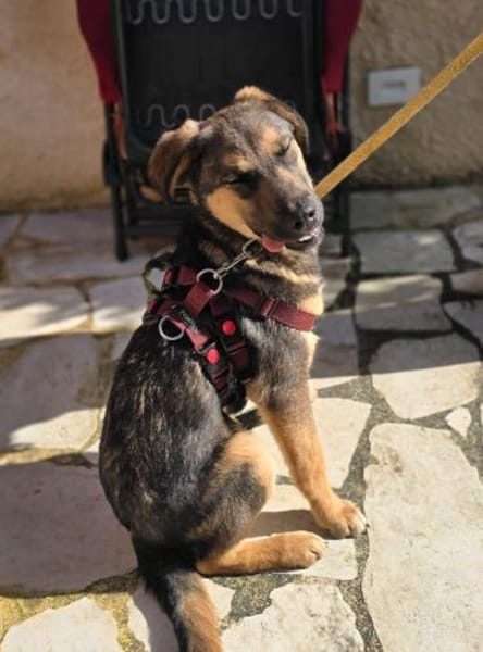 Toni auf Familiensuche