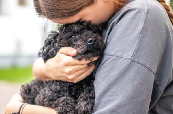 Momo, sanfte Herzensbrecherin, ca. 8 Jah