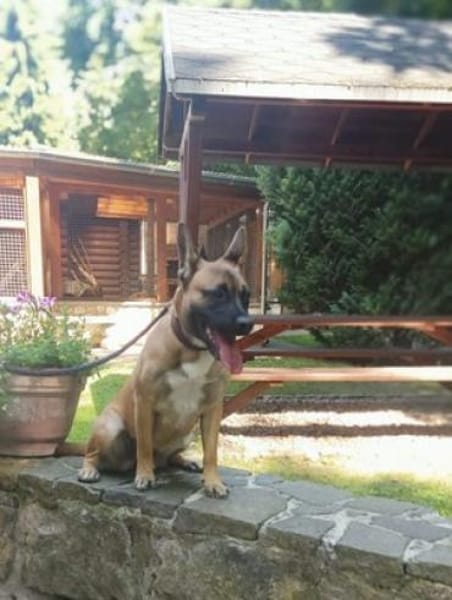 Daisy, temperamentvolle kleine Dame