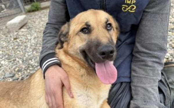 Die tolle Resa wartet auf dich