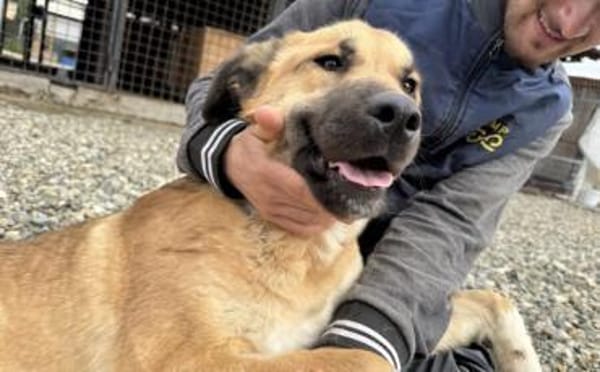 Die tolle Resa wartet auf dich