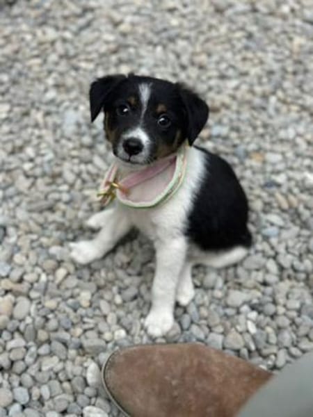 Sabrin, kleiner Entdecker, ca. 3 Monate,