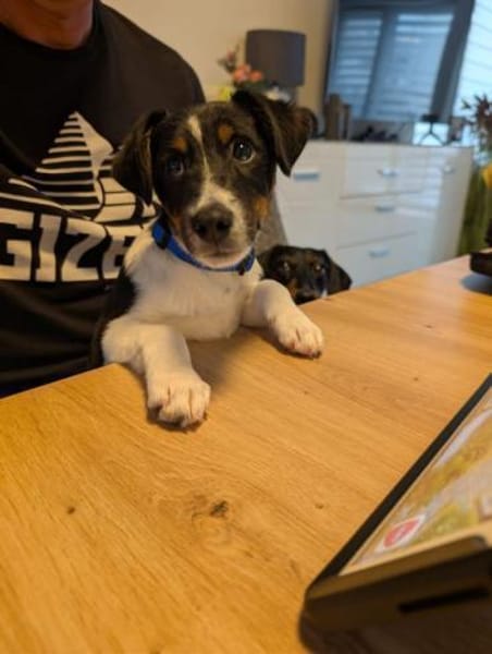 Sabrin, kleiner Entdecker, ca. 3 Monate,