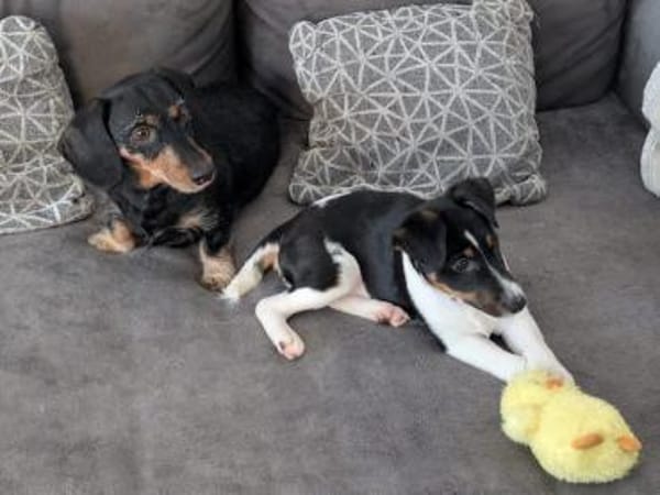 Sabrin, kleiner Entdecker, ca. 3 Monate,