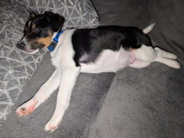 Sabrin, kleiner Entdecker, ca. 3 Monate,