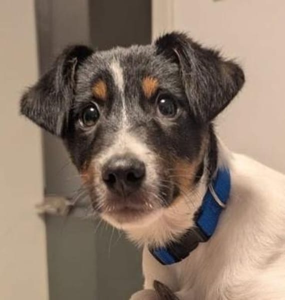 Sabrin, kleiner Entdecker, ca. 3 Monate,