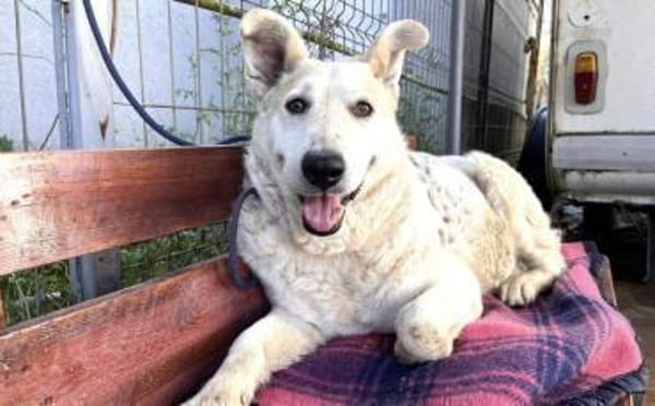 Wer zeigt Gretel wie schön das Leben ist