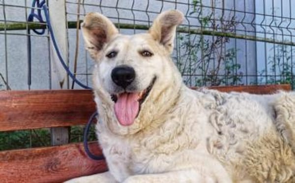 Wer zeigt Gretel wie schön das Leben ist