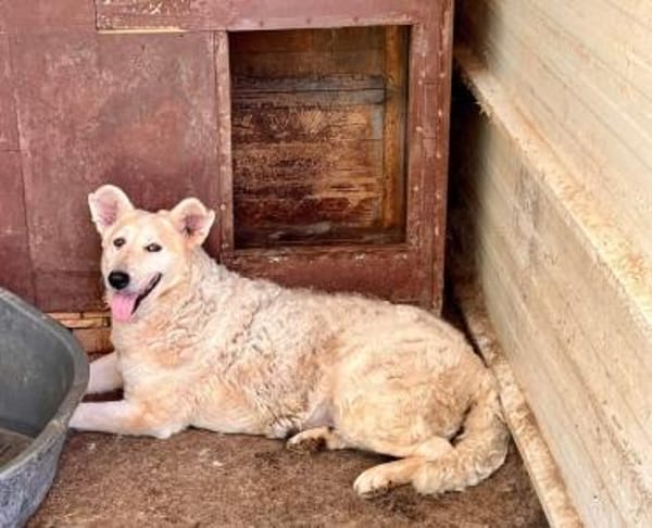 Wer zeigt Gretel wie schön das Leben ist