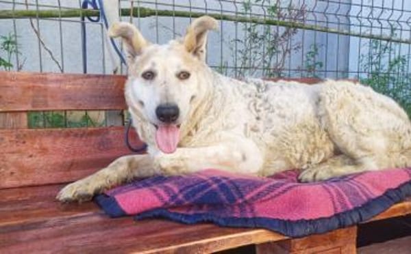 Wer zeigt Gretel wie schön das Leben ist