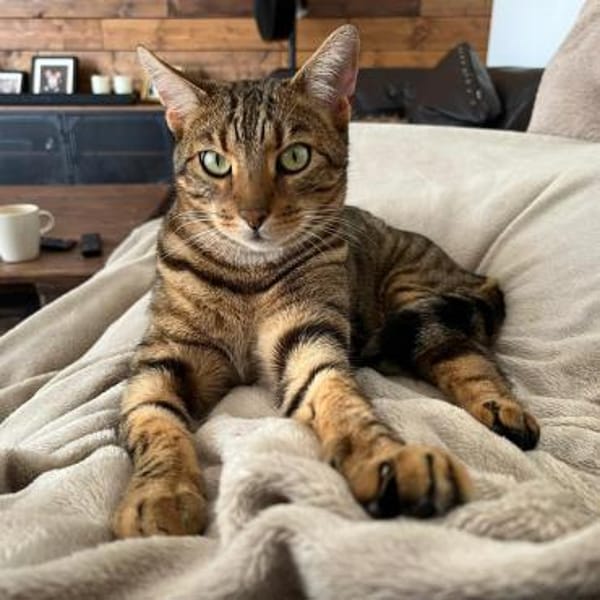 RIO sucht sein Glück