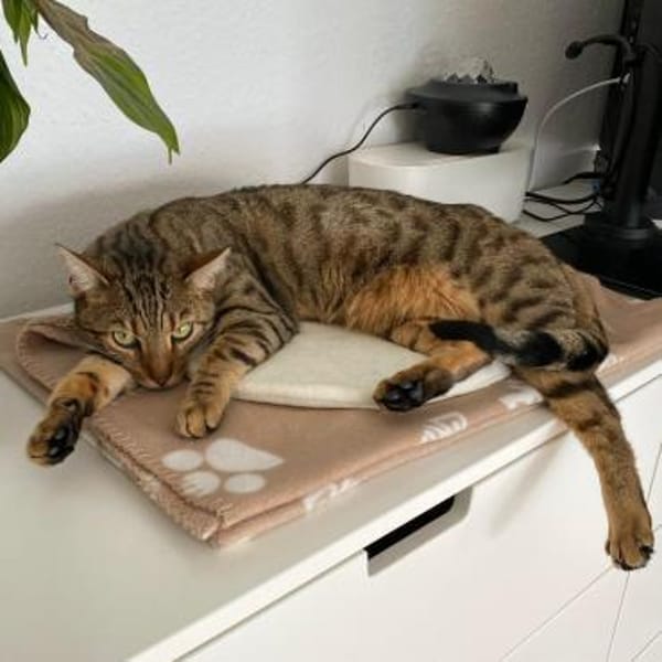 RIO sucht sein Glück