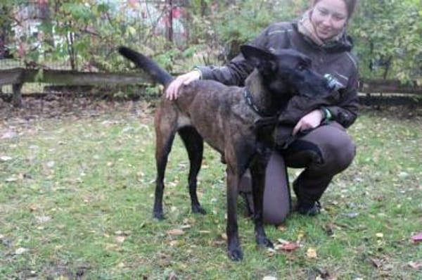 Makeba, sucht ruhiges erfahrenes Zuhause