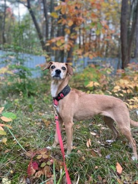 Gwenny & Gilda 2 Schwestern nur zusammen