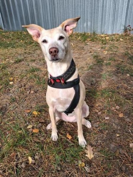 Gwenny & Gilda 2 Schwestern nur zusammen