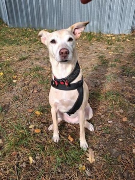 Gwenny & Gilda 2 Schwestern nur zusammen