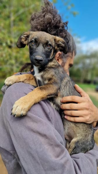 Ernie der kleine Sonnenschein sucht Fami