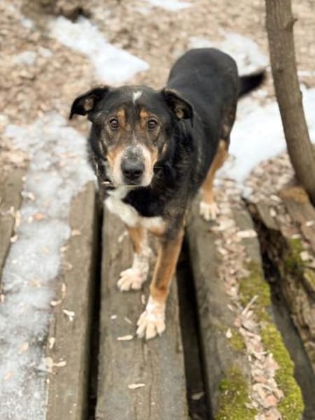 LEVA-liebevolle Familue gesucht