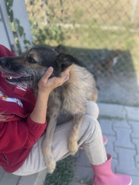 Candy, Zucker, wie der Name sagt