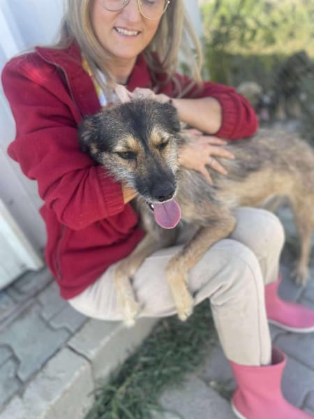 Candy, Zucker, wie der Name sagt