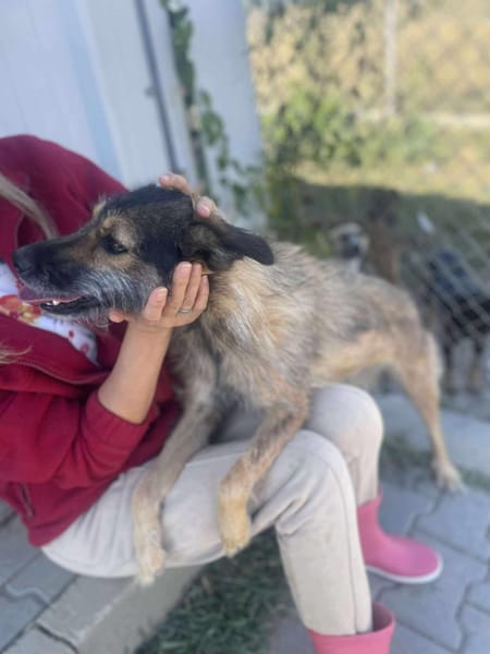 Candy, Zucker, wie der Name sagt