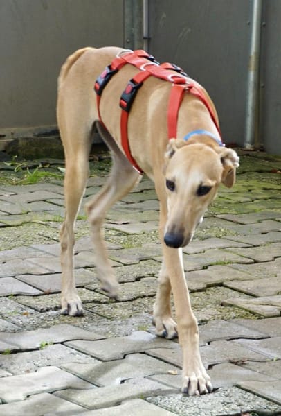 Nora, neugierig, offen, lernwillig