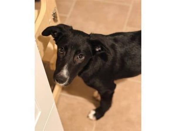 Anna - wartet in 66500 Hornbach